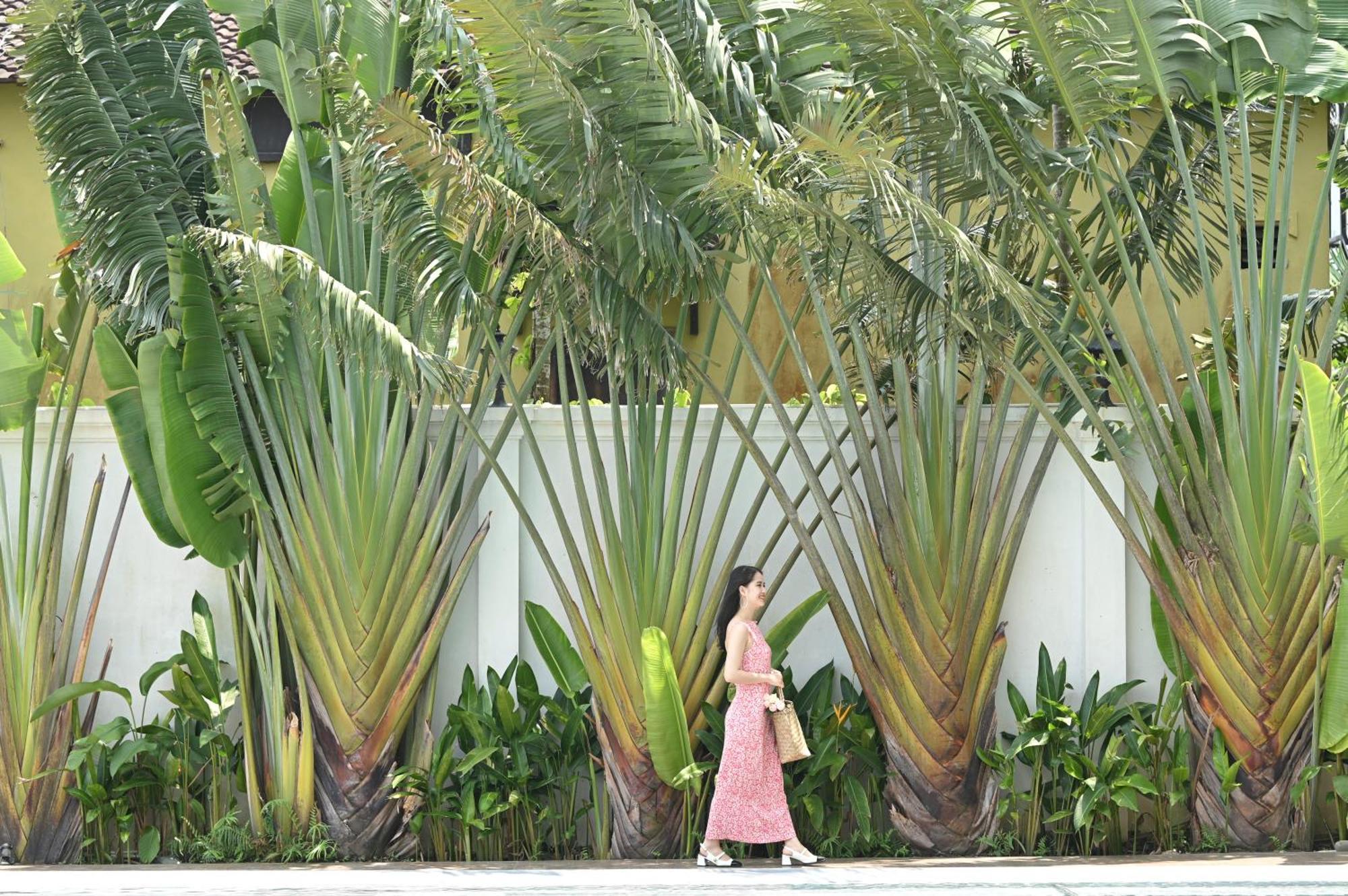 Shining Riverside Hoi An Boutique & Spa Εξωτερικό φωτογραφία